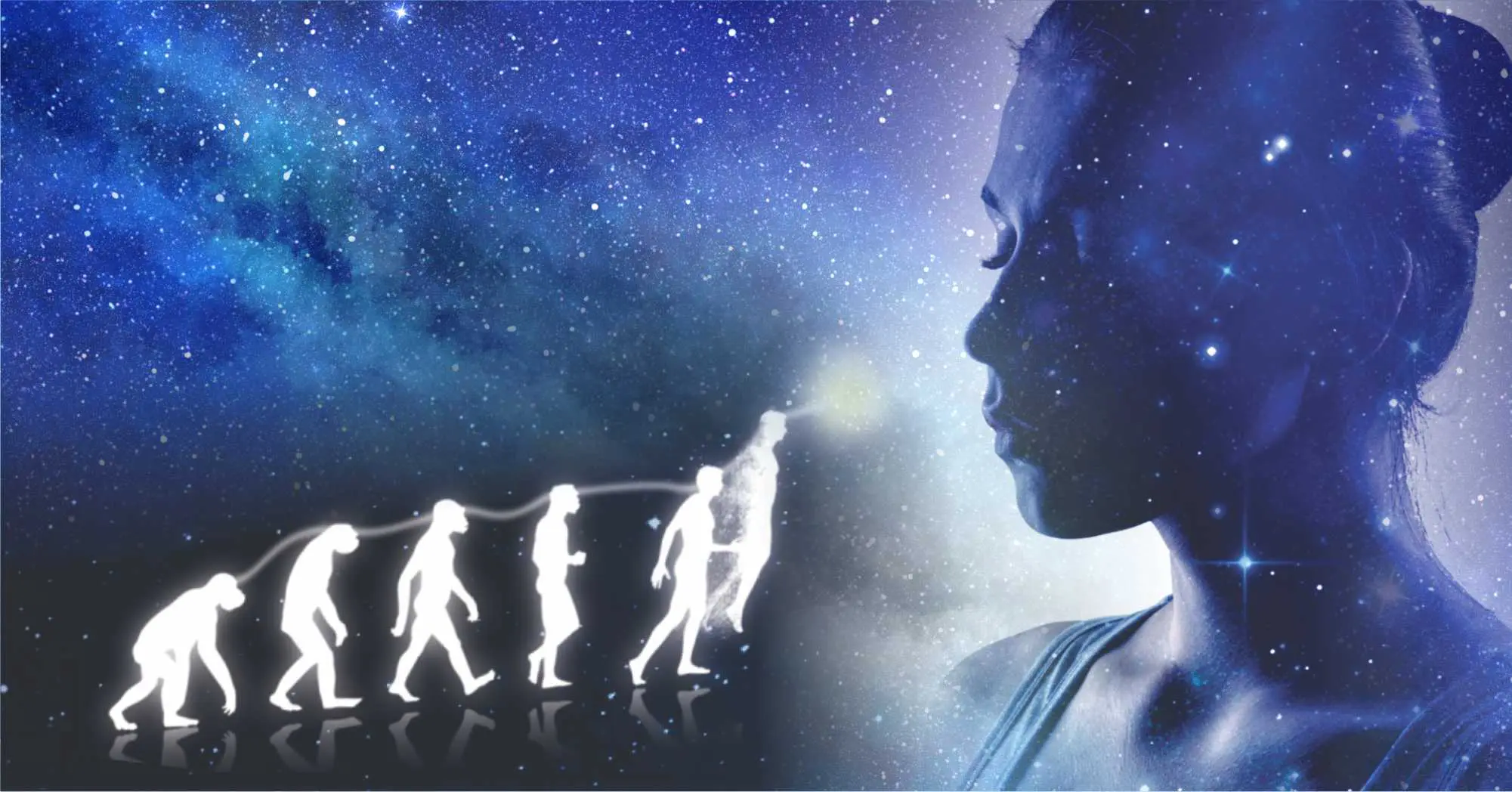 Evolução e Multidimensionalidade